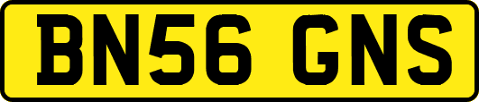 BN56GNS