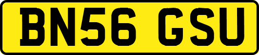 BN56GSU