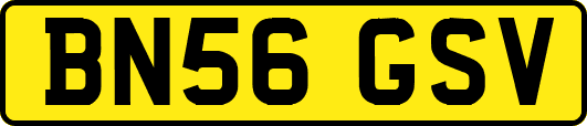 BN56GSV