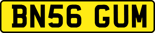 BN56GUM