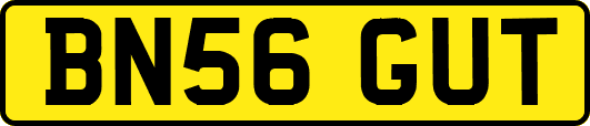 BN56GUT