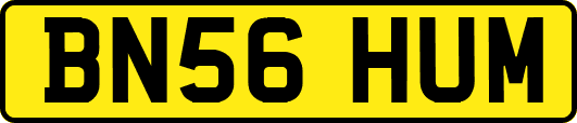 BN56HUM