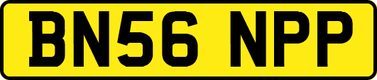 BN56NPP