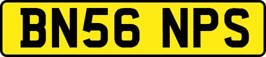 BN56NPS