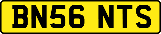 BN56NTS