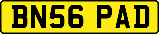BN56PAD