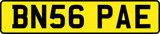 BN56PAE