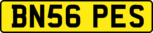 BN56PES