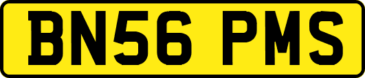BN56PMS