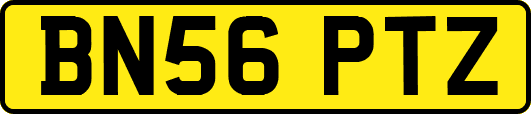 BN56PTZ
