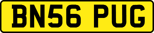BN56PUG