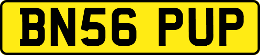 BN56PUP