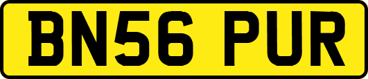 BN56PUR