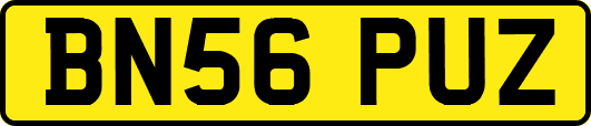 BN56PUZ