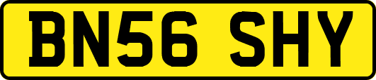 BN56SHY