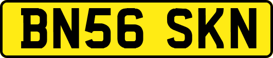 BN56SKN