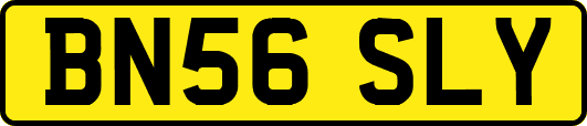 BN56SLY