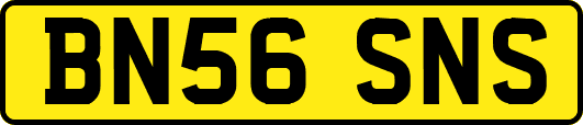 BN56SNS