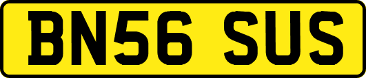BN56SUS