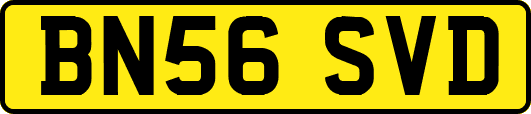 BN56SVD