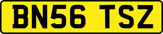 BN56TSZ