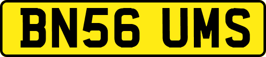 BN56UMS
