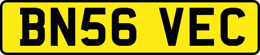 BN56VEC