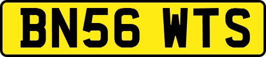 BN56WTS