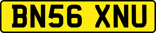 BN56XNU