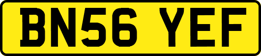BN56YEF