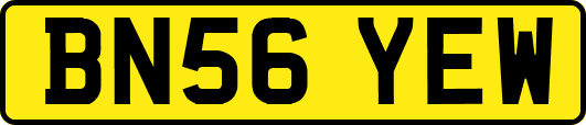 BN56YEW