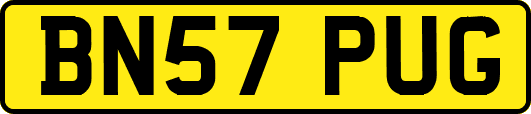 BN57PUG