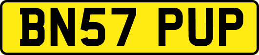 BN57PUP