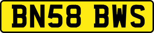 BN58BWS