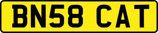 BN58CAT