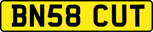 BN58CUT