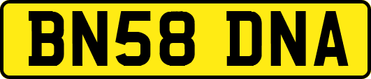 BN58DNA