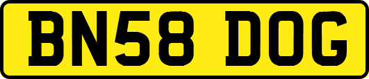 BN58DOG
