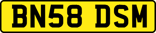 BN58DSM