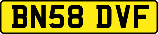 BN58DVF