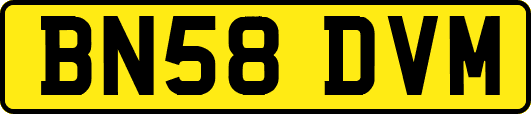 BN58DVM