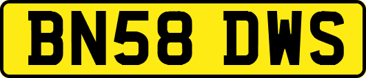 BN58DWS