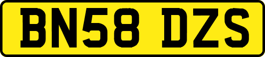 BN58DZS