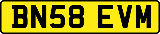BN58EVM