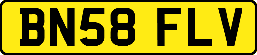 BN58FLV