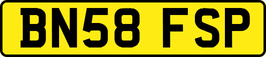 BN58FSP