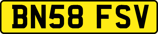BN58FSV