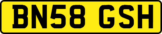 BN58GSH