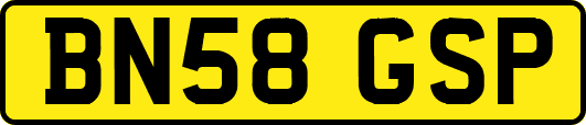 BN58GSP