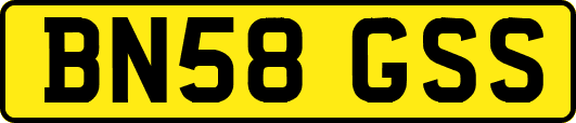 BN58GSS